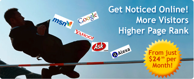 SEO Maintenance pack - Get Noticed Online! More Visitors - Higher Page Rank